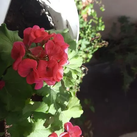 Daire Vieille 2 - La Petite Maison A Safranier, 2 Bedrooms, Max 4 Adults And 2 Kids