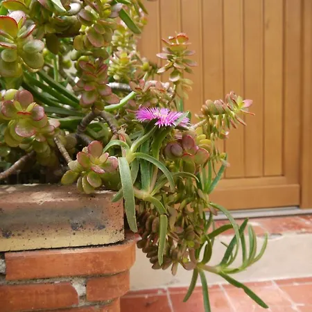 Appartement Vieille 2 - La Petite Maison à Safranier, 2 Bedrooms, Max 4 Adults&2 Kids Antibes