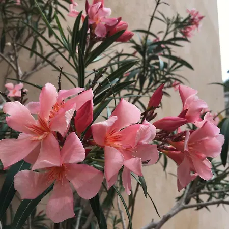 Vieille 2 - La Petite Maison à Safranier, 2 Bedrooms, Max 4 Adults&2 Kids * Antibes