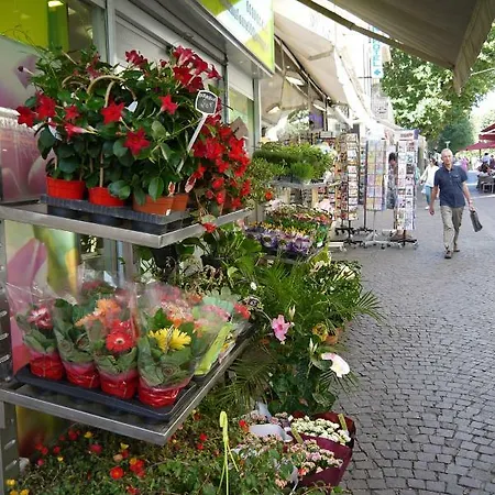 Vieille 2 - La Petite Maison A Safranier, 2 Bedrooms, Max 4 Adults And 2 Kids Apartment