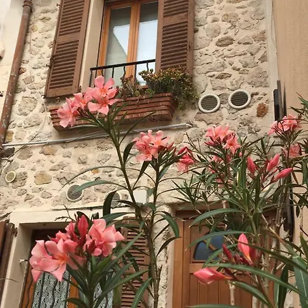 Vieille 2 - La Petite Maison A Safranier, 2 Bedrooms, Max 4 Adults And 2 Kids Lägenhet