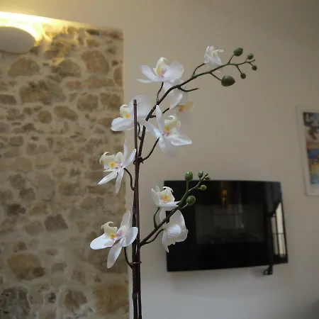 Vieille 2 - La Petite Maison A Safranier, 2 Bedrooms, Max 4 Adults And 2 Kids Apartman Antibes