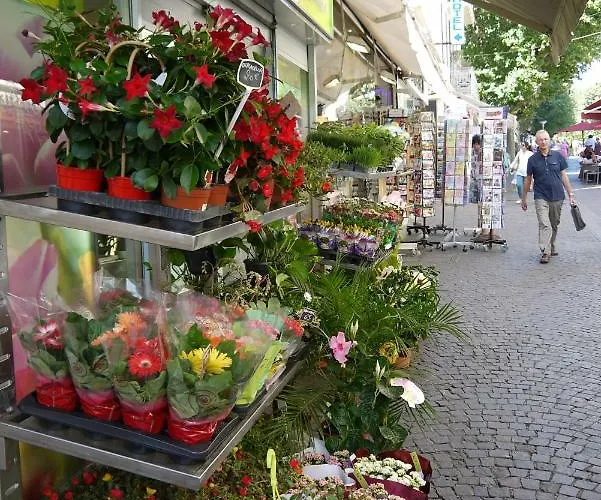 Vieille 2 - La Petite Maison à Safranier, 2 Bedrooms, Max 4 Adults&2 Kids Appartamento