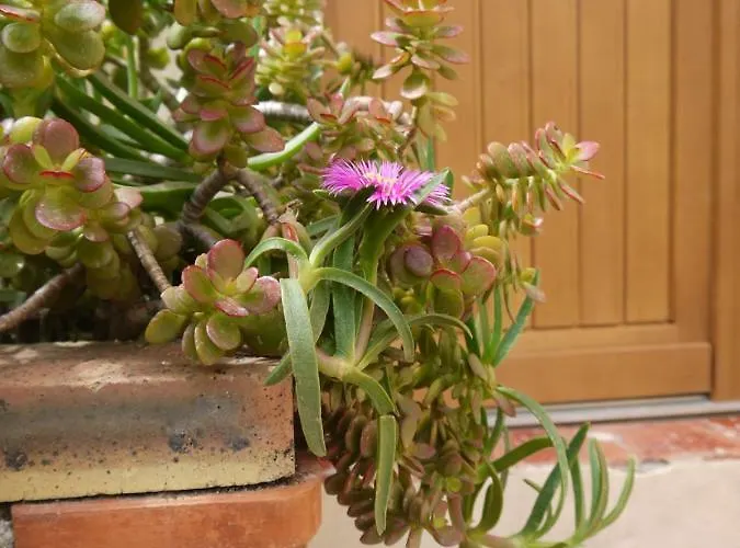 Appartamento Vieille 2 - La Petite Maison à Safranier, 2 Bedrooms, Max 4 Adults&2 Kids Antibes