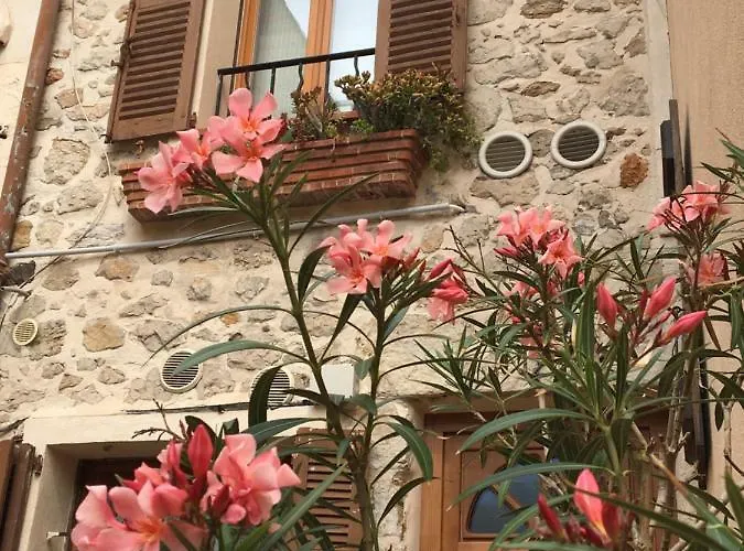 Vieille 2 - La Petite Maison A Safranier, 2 Bedrooms, Max 4 Adults And 2 Kids Апартаменти